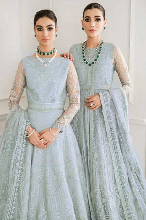EMBROIDERED NET CH10 - 05 - NEW NAMAL PRET