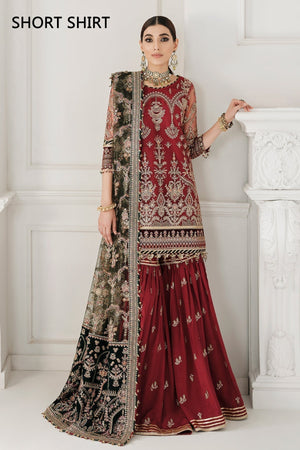 EMBROIDERED NET CH10 - 07 - NEW NAMAL PRET