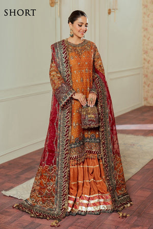 EMBROIDERED NET CH13 - 01 - NEW NAMAL PRET