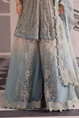Embroidered Net Suit | BD - 3002 - NEW NAMAL PRET