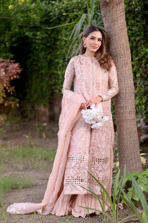 ESRA (FESTIVE FORMAL) - NEW NAMAL PRET