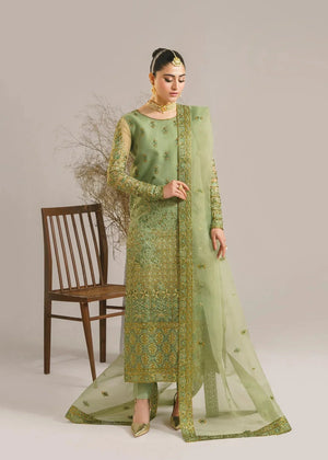 Fareena - NEW NAMAL PRET