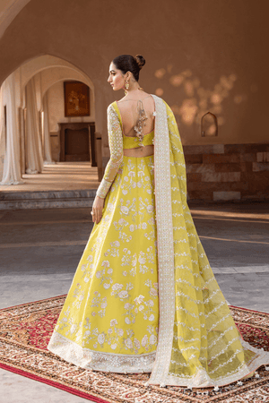 Lumique - NEW NAMAL PRET