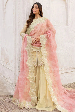 Marigold Bliss - NEW NAMAL PRET