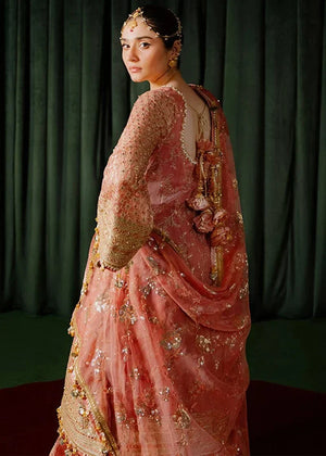 MNR - Guriya Rani - ZWU - 24 - 37 - NEW NAMAL PRET