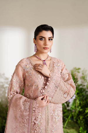 NAILA (FESTIVE FORMAL) - NEW NAMAL PRET