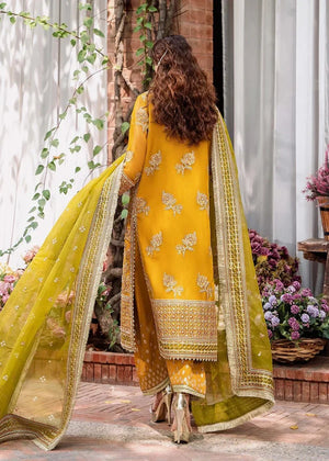 Rohi - NEW NAMAL PRET