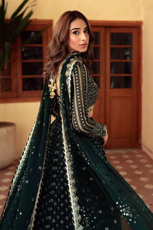 Sheesh - NEW NAMAL PRET
