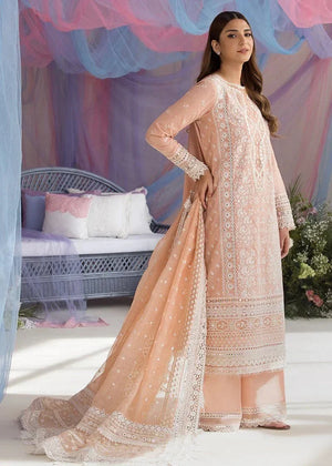 SN - SL25 - 9B - Sobia Nazir - NEW NAMAL PRET