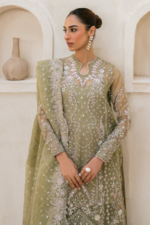 Starlet Dream - NEW NAMAL PRET