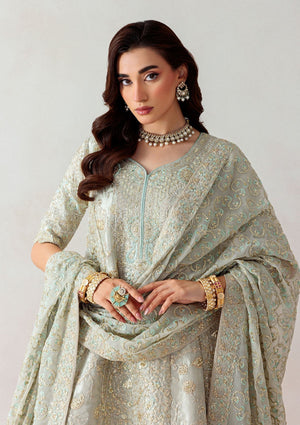 Unstitched '25 Vol. 1 - Look 03 - Namal Pret