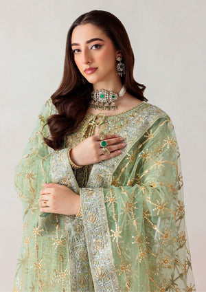 Unstitched '25 Vol. 1 - Look 04 - Namal Pret