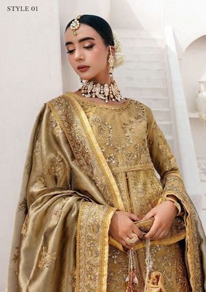 WEDDING FESTIVE ’25 VOL. 2 - LOOK 10 - Namal Pret