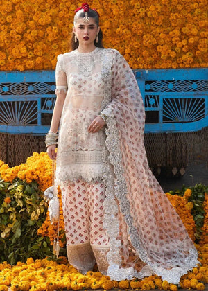 Zareen - NEW NAMAL PRET