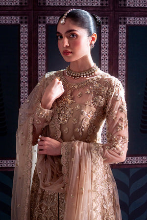 ZARIFA - NEW NAMAL PRET