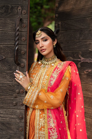 ZEENAT - Namal Pret