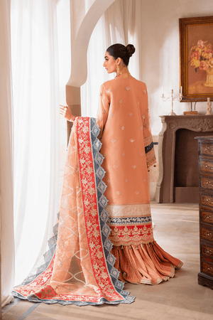 Zephyra - NEW NAMAL PRET